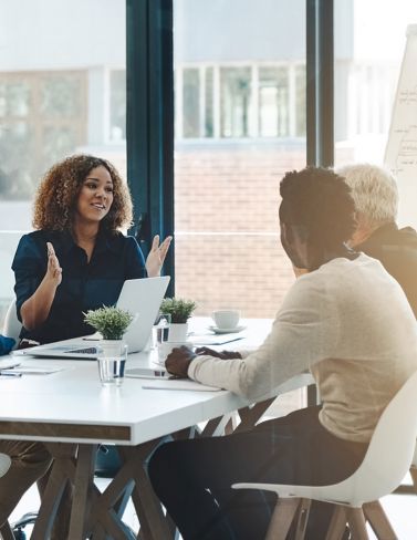 The Partner Program Development Model 