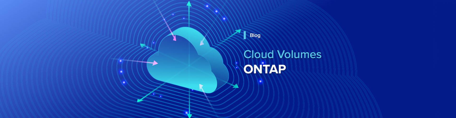  Cloud Volumes ONTAP