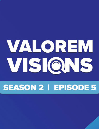 Valorem Visions 2.5– Supply Chain Attacks