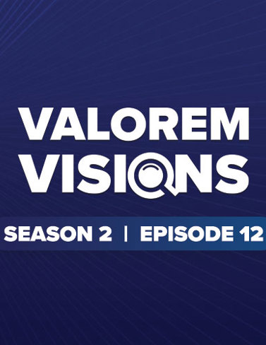 Valorem Visions 2.12 – Microsegmentation