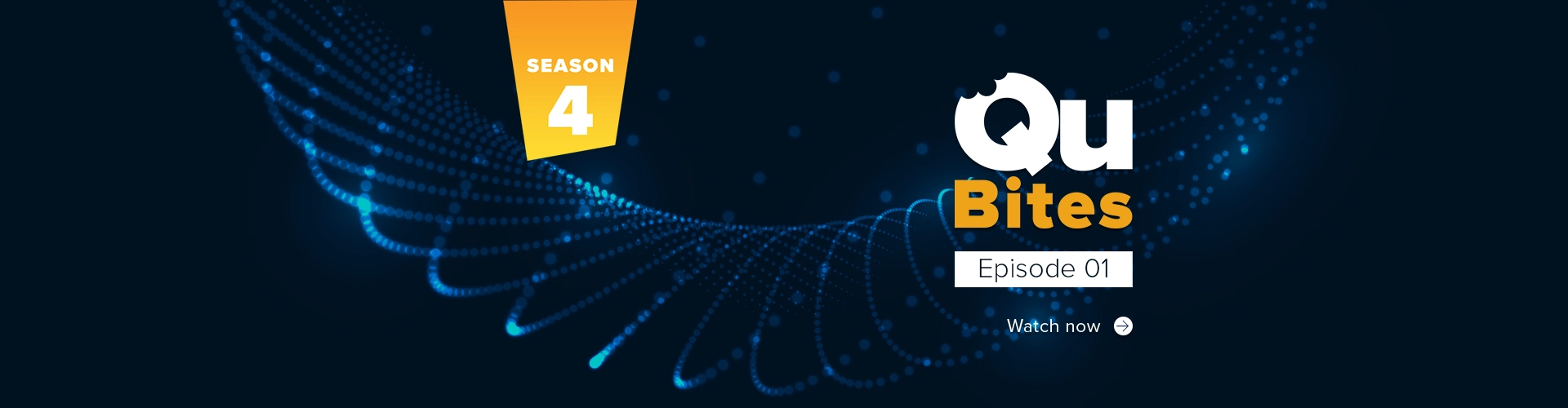QuBites 4.1 - Quantum Machine Learning for Image Classification